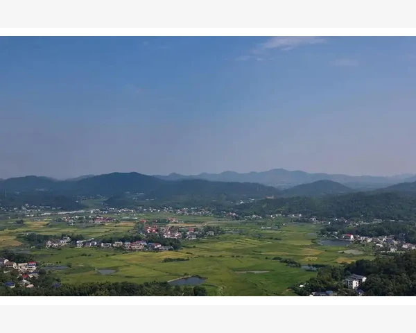 德法会计体系差异与实务应用全解