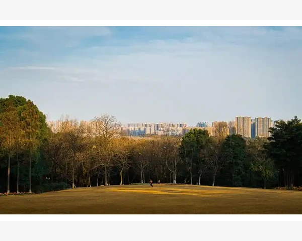 B2B和C2C电商模式到底啥意思